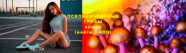 мдпв Вязьма