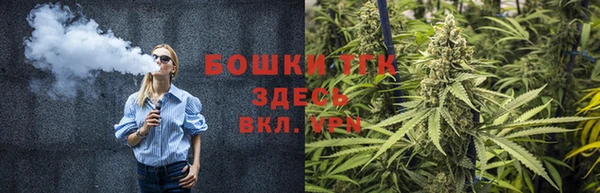 мдпв Вязьма