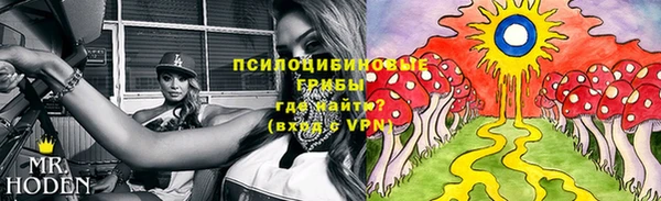 мдпв Вязьма