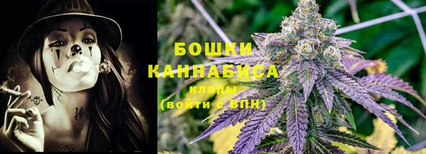 мдпв Вязьма