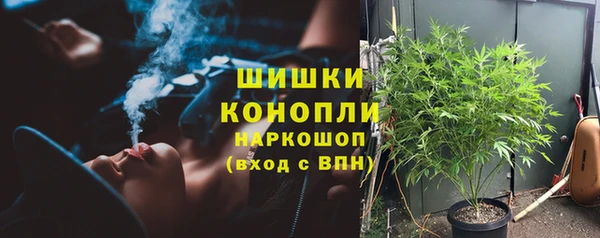 марки nbome Вяземский